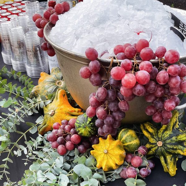 572784780 18505672783069491 3348567894467321997 n