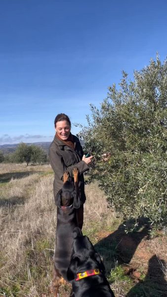 623097431 1952362309049842 2631465879498613302 n