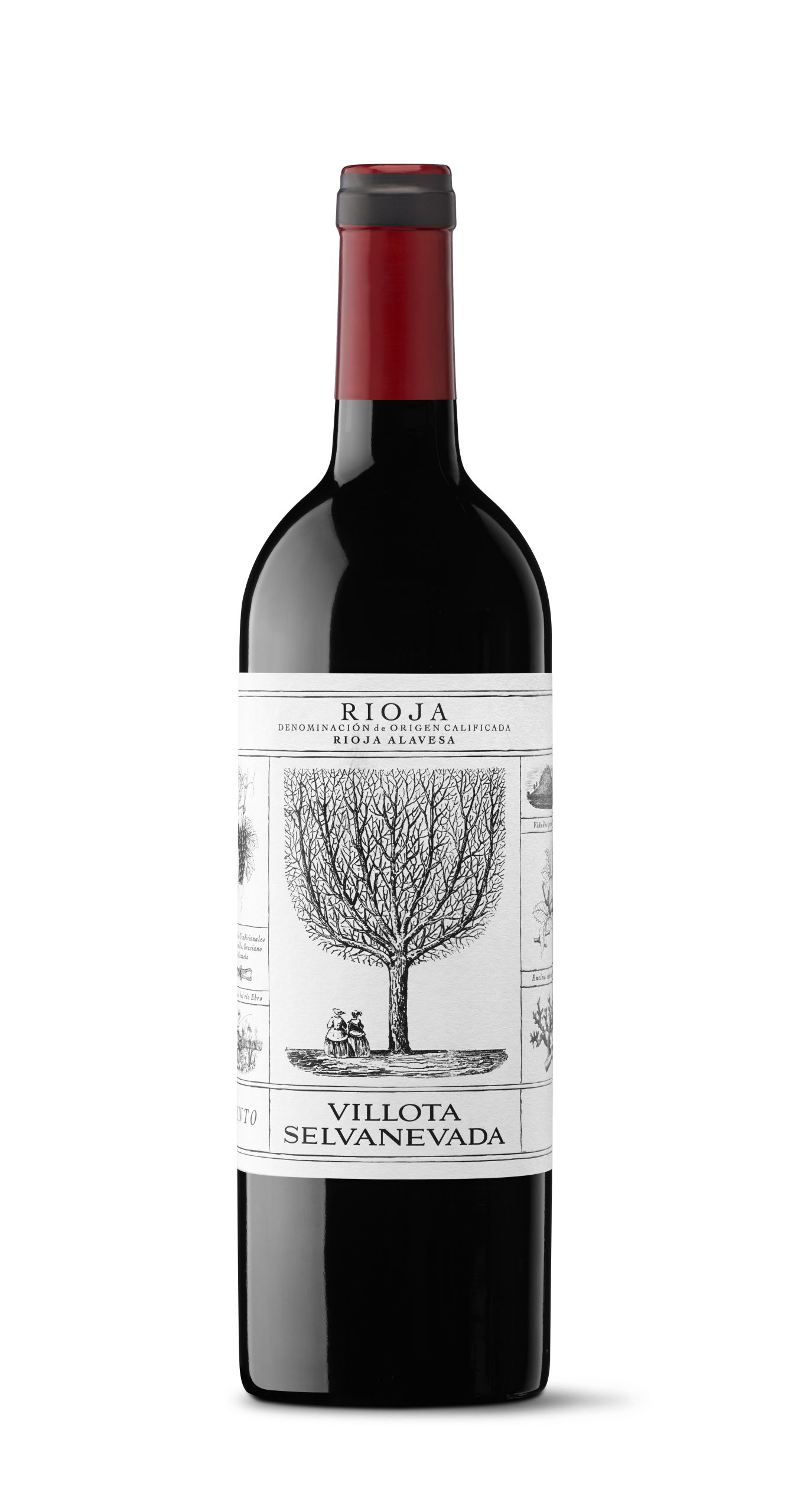 SELVANEVADA_Tinto Villota Selvanevada Tinto - Imagen 1